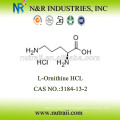 L-ornitina HCL 3184-13-2